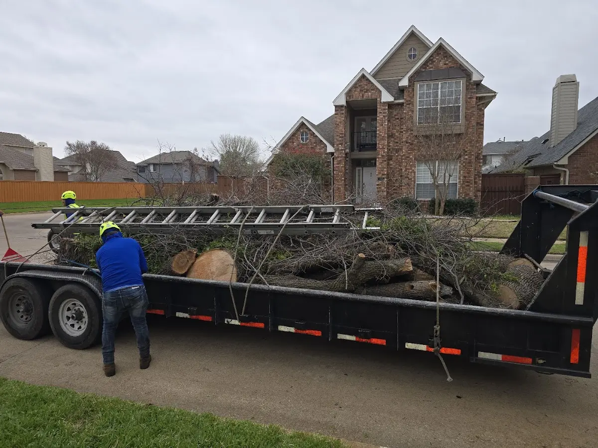 Expert Tree Fertilization with proper safety equipment in Converse